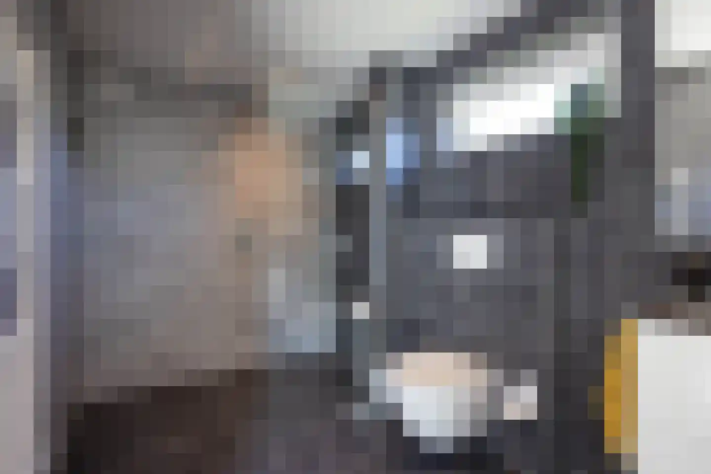 Wipmolen 16 de Lutte thumbnail 18
