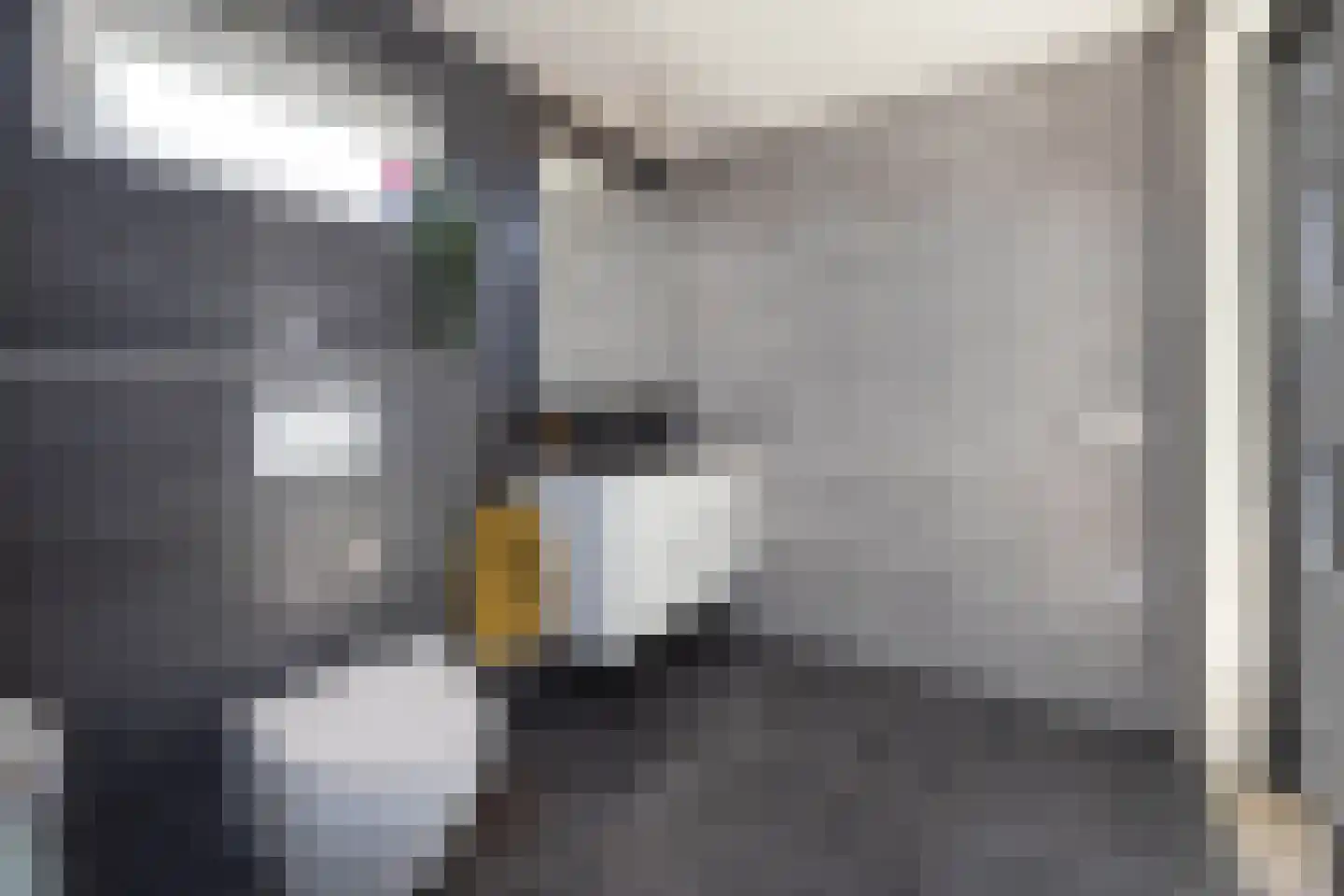 Wipmolen 16 de Lutte thumbnail 19