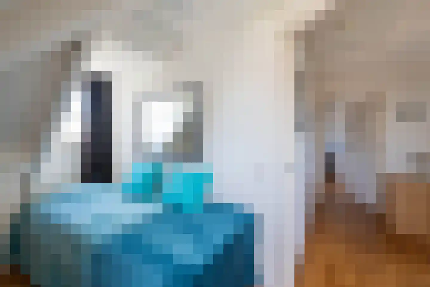 Wipmolen 16 de Lutte thumbnail 22