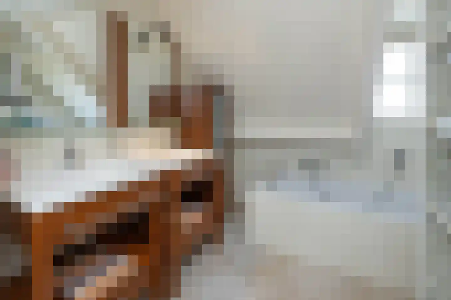 Wipmolen 16 de Lutte thumbnail 24