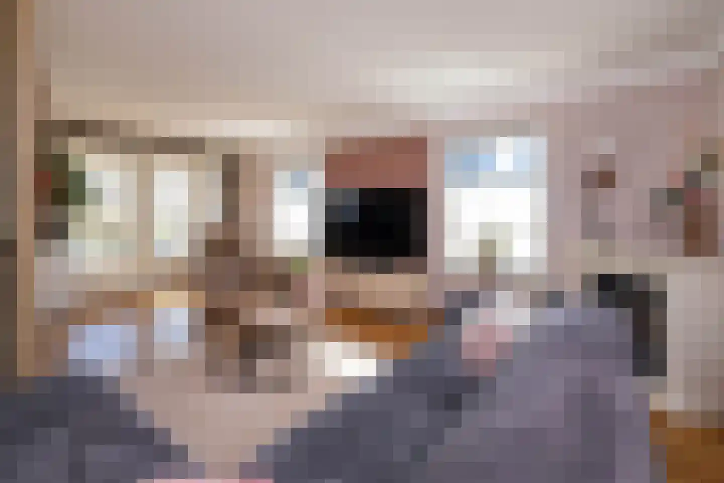 Wipmolen 16 de Lutte foto 3