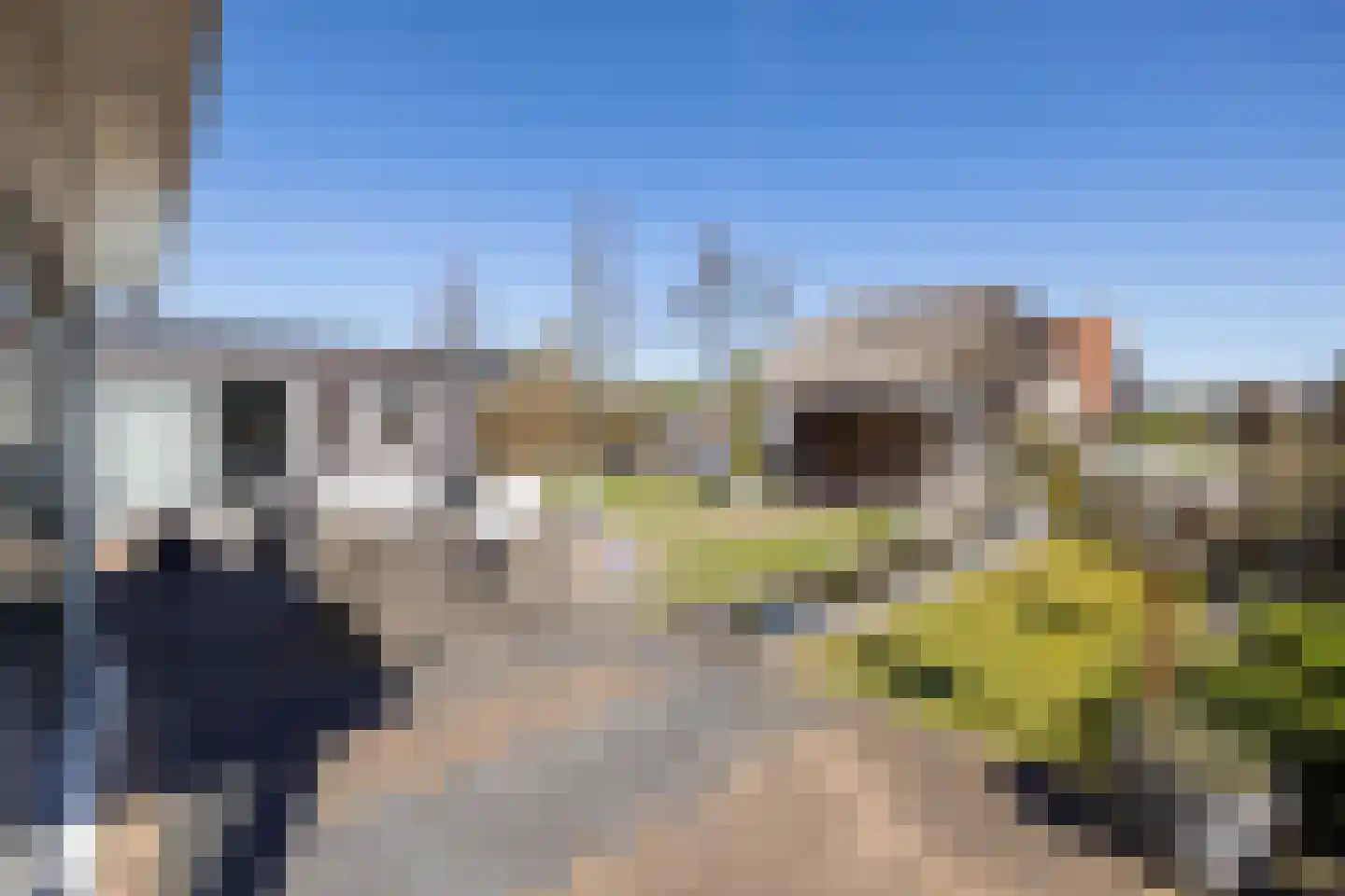 Wipmolen 16 de Lutte thumbnail 34