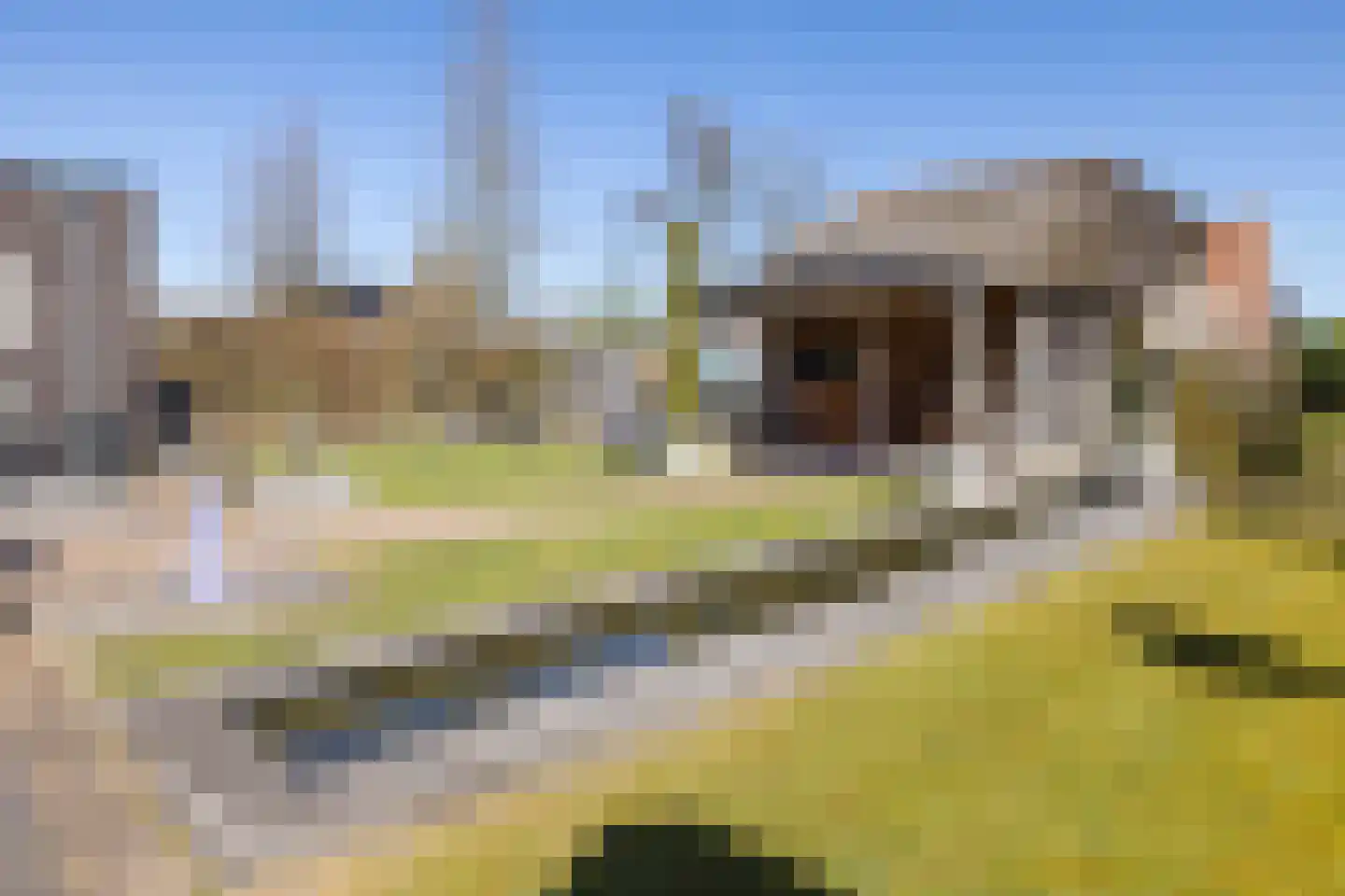 Wipmolen 16 de Lutte thumbnail 35