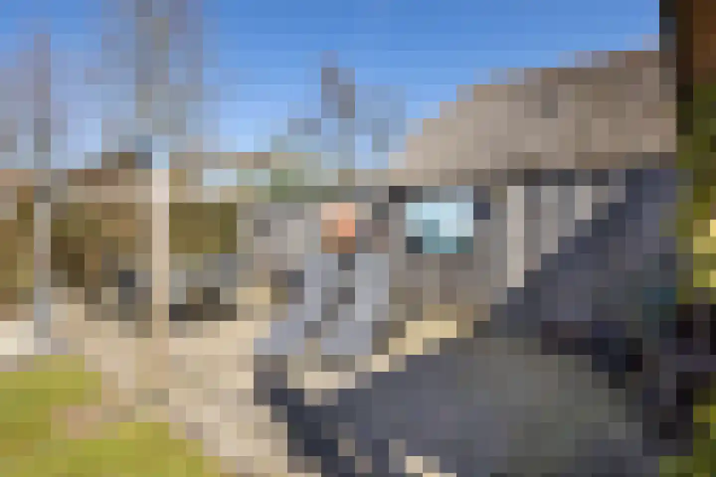 Wipmolen 16 de Lutte thumbnail 38