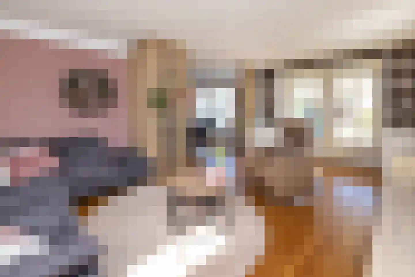 Wipmolen 16 de Lutte thumbnail 4