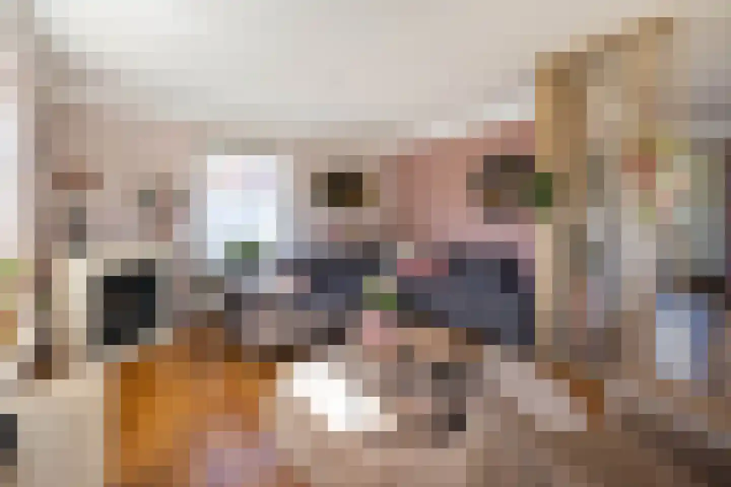 Wipmolen 16 de Lutte thumbnail 5