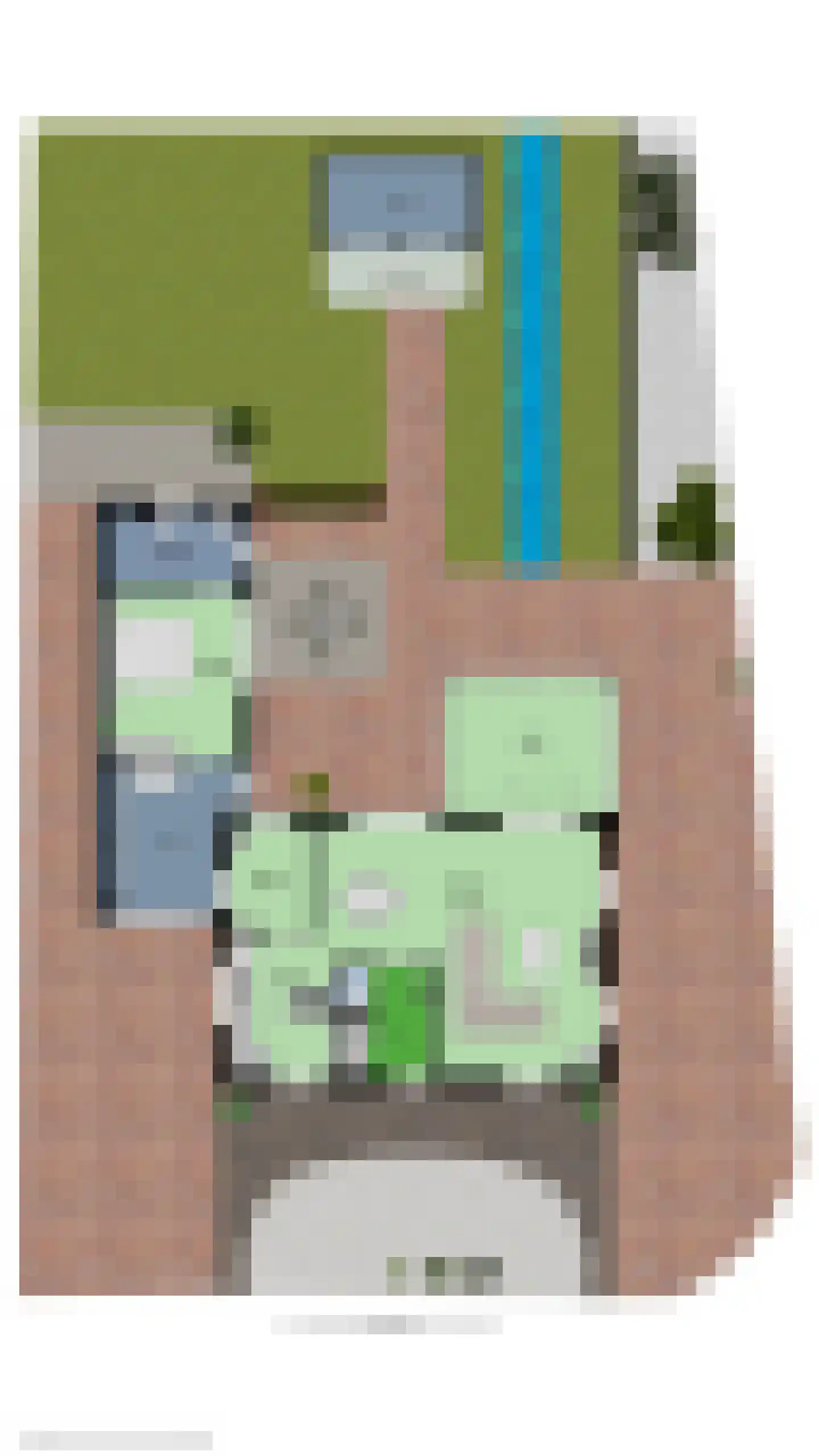 Wipmolen 16 de Lutte thumbnail 50