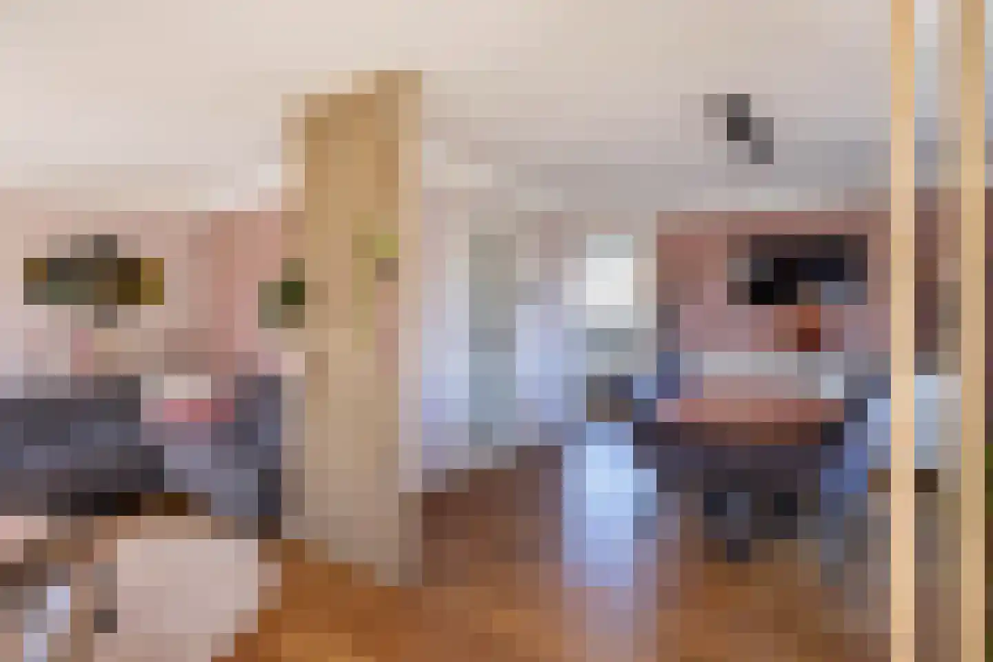 Wipmolen 16 de Lutte thumbnail 6