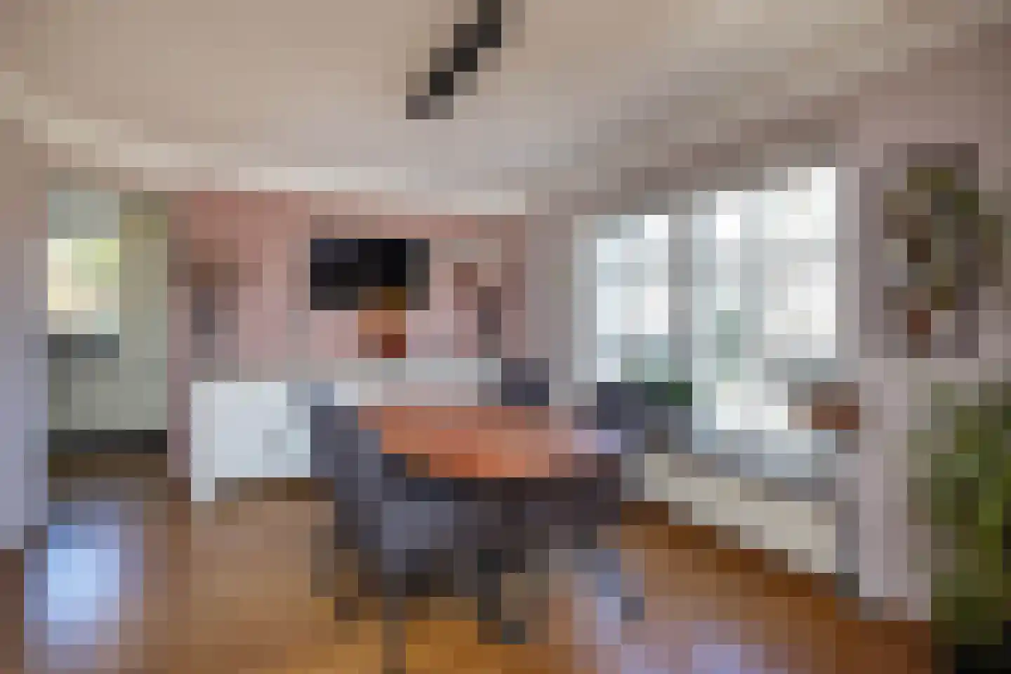 Wipmolen 16 de Lutte thumbnail 8