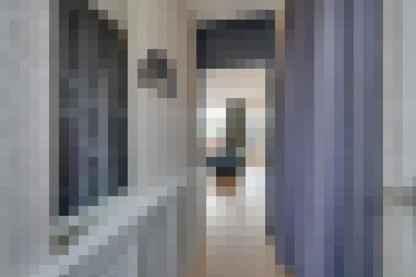Wipmolen 17 Purmerend thumbnail 11