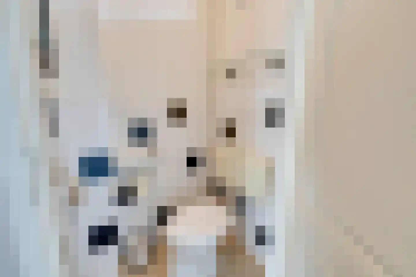 Wipmolen 17 Purmerend thumbnail 12