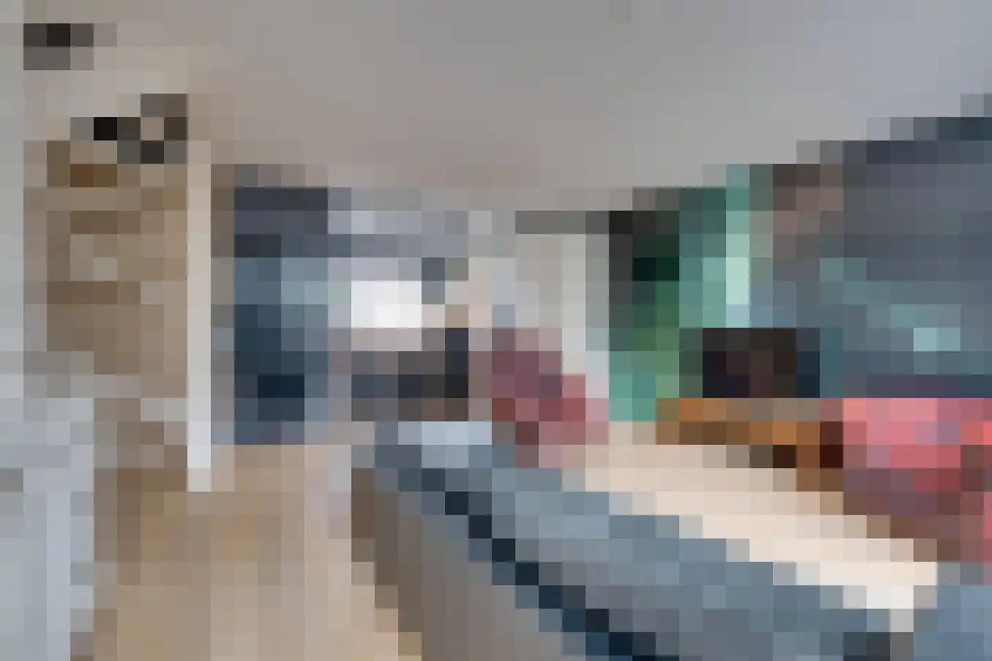 Wipmolen 17 Purmerend thumbnail 18