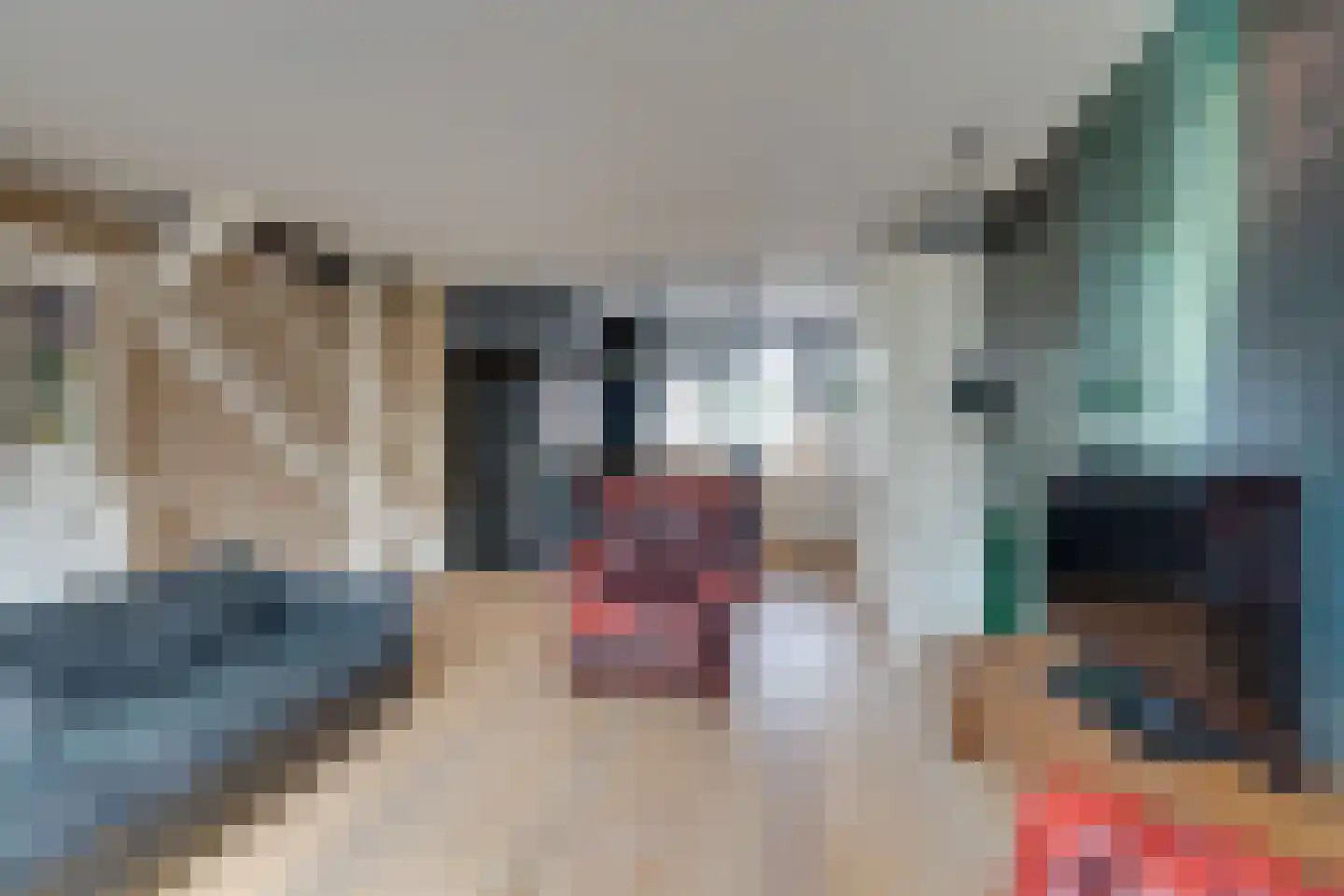 Wipmolen 17 Purmerend thumbnail 20