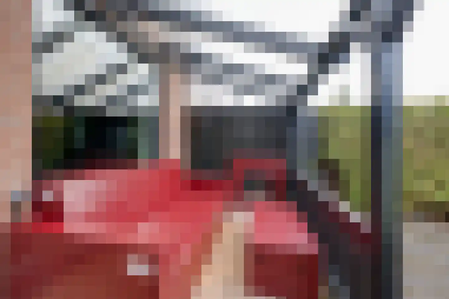 Wipmolen 17 Purmerend thumbnail 27