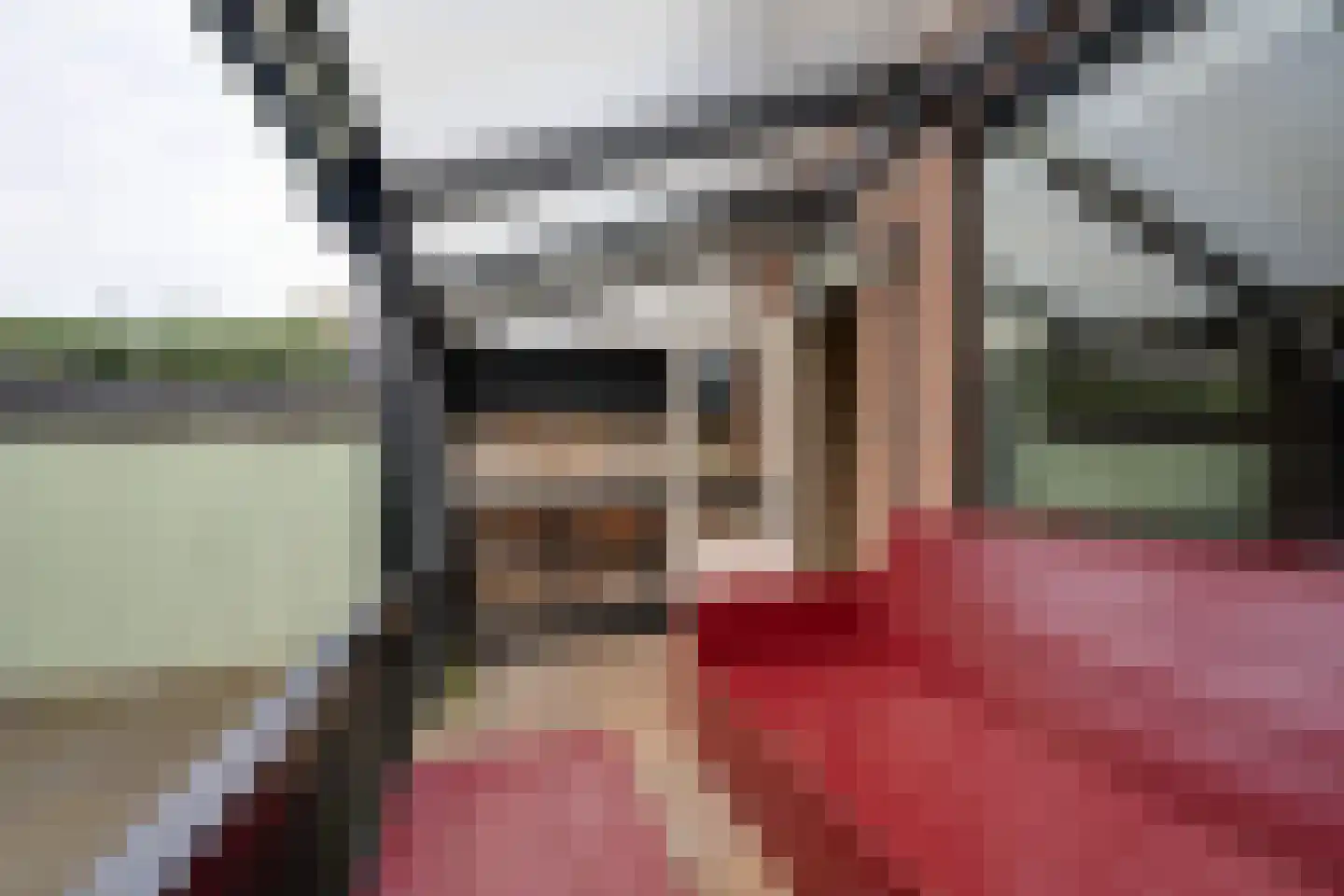 Wipmolen 17 Purmerend thumbnail 29