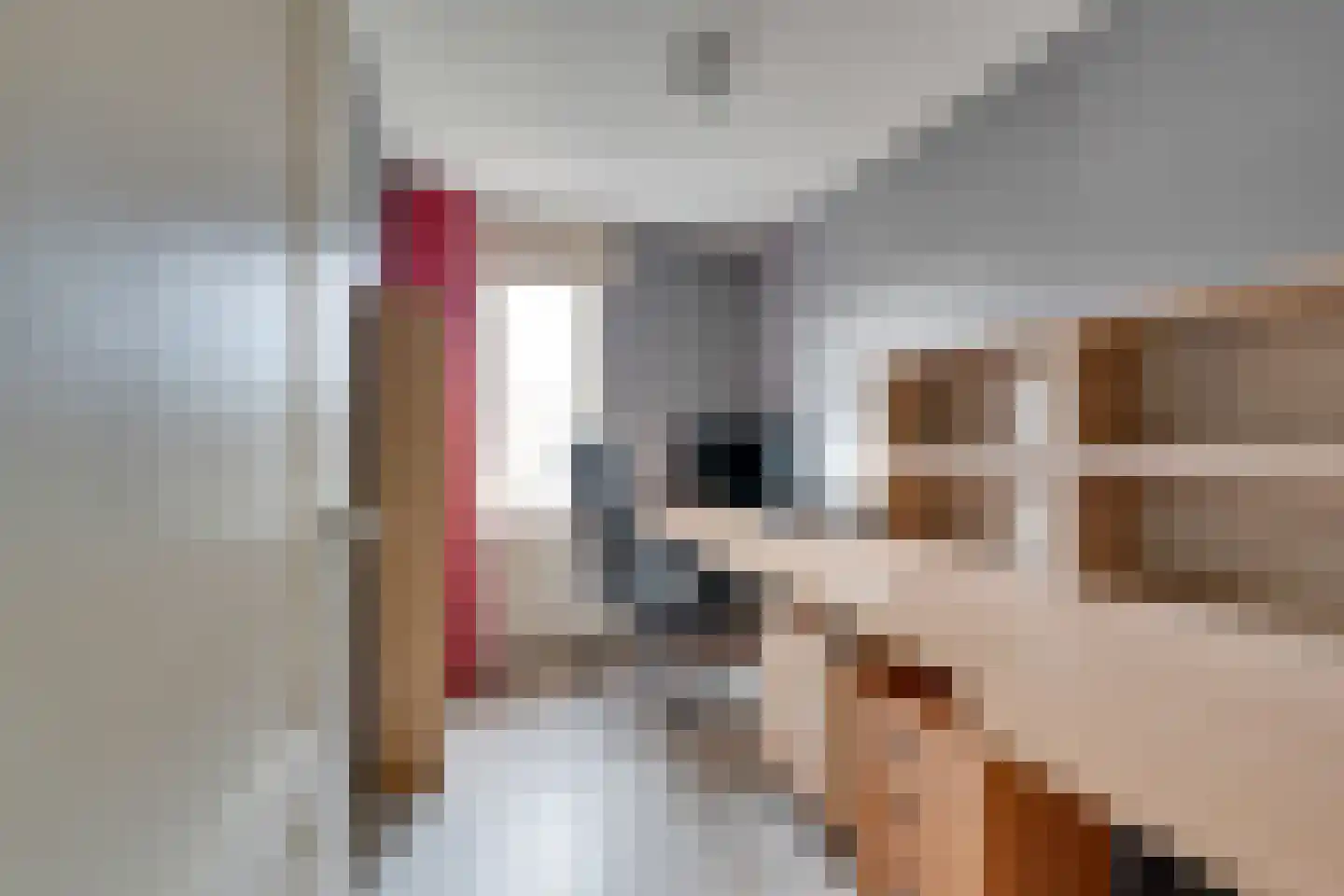 Wipmolen 17 Purmerend thumbnail 40