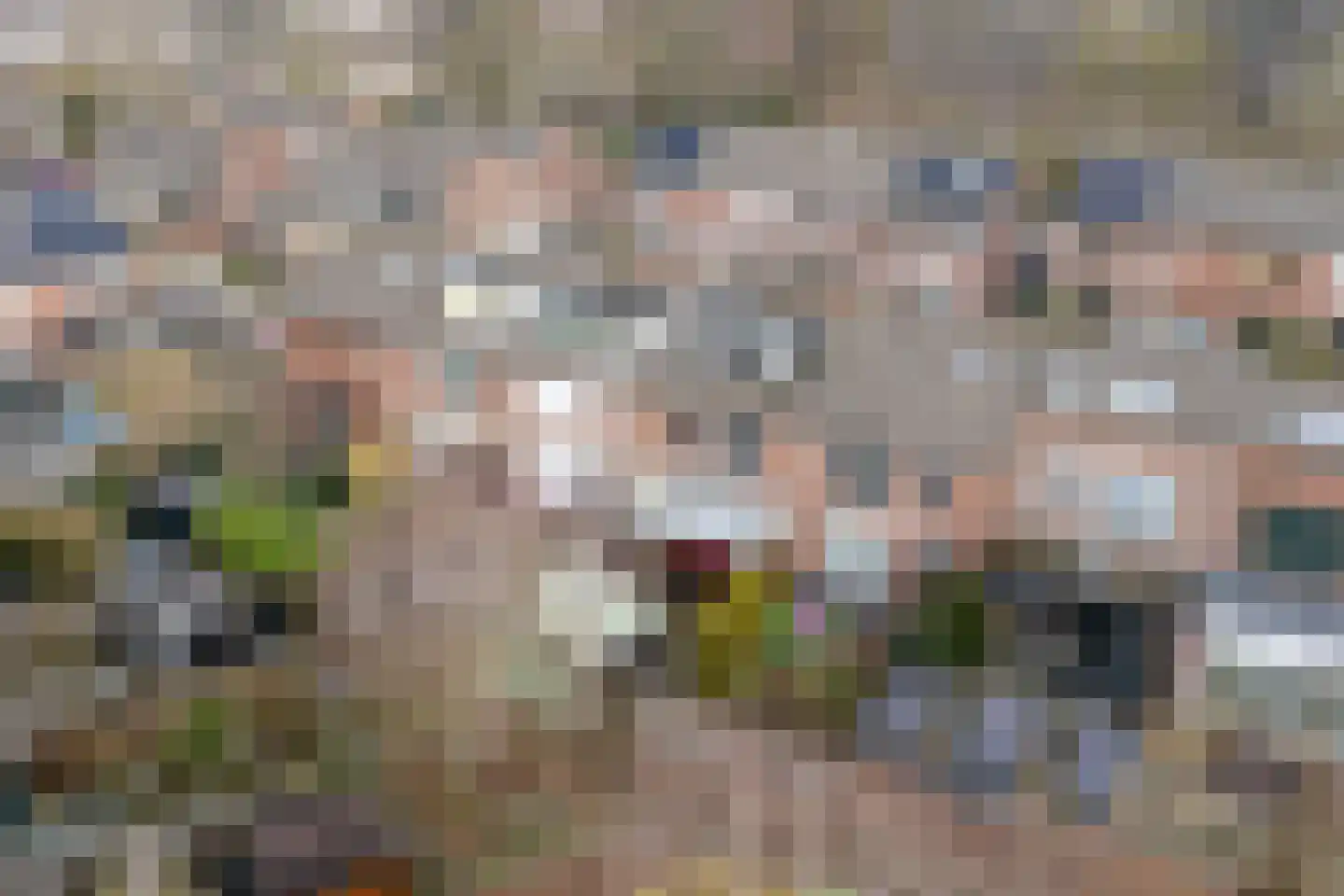 Wipmolen 17 Purmerend thumbnail 53