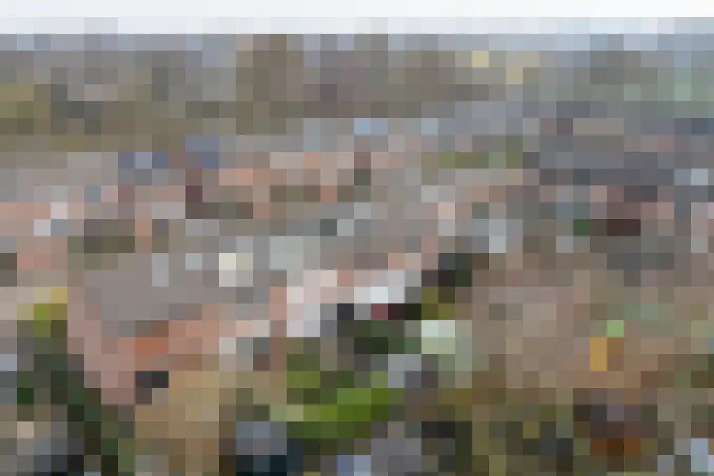 Wipmolen 17 Purmerend thumbnail 8