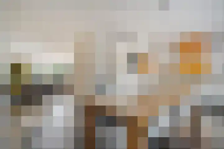 Wipmolen 18 Harmelen thumbnail 10
