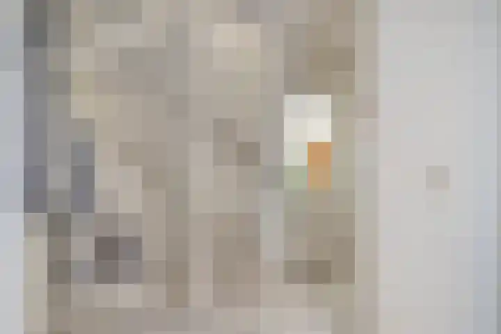 Wipmolen 18 Harmelen thumbnail 12