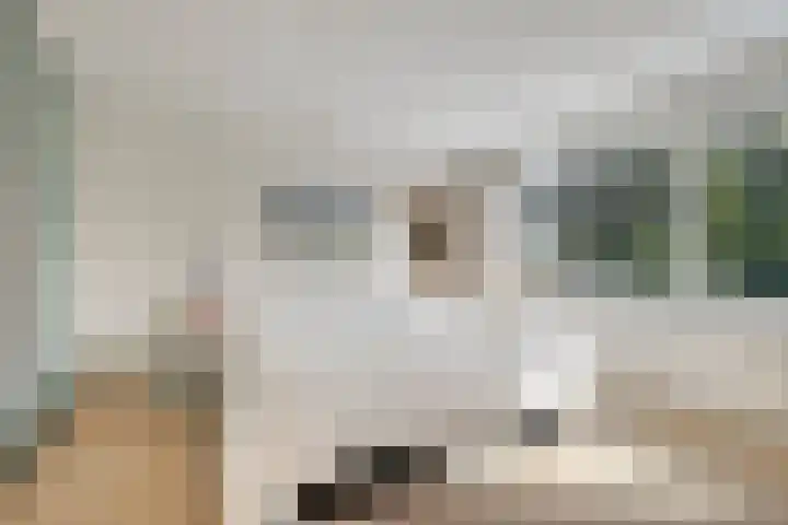 Wipmolen 18 Harmelen thumbnail 13