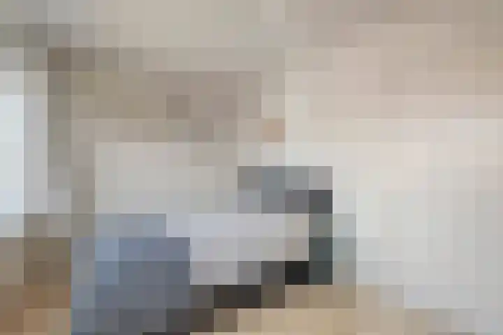 Wipmolen 18 Harmelen thumbnail 15