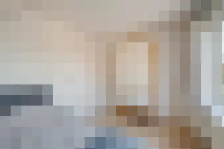 Wipmolen 18 Harmelen thumbnail 16