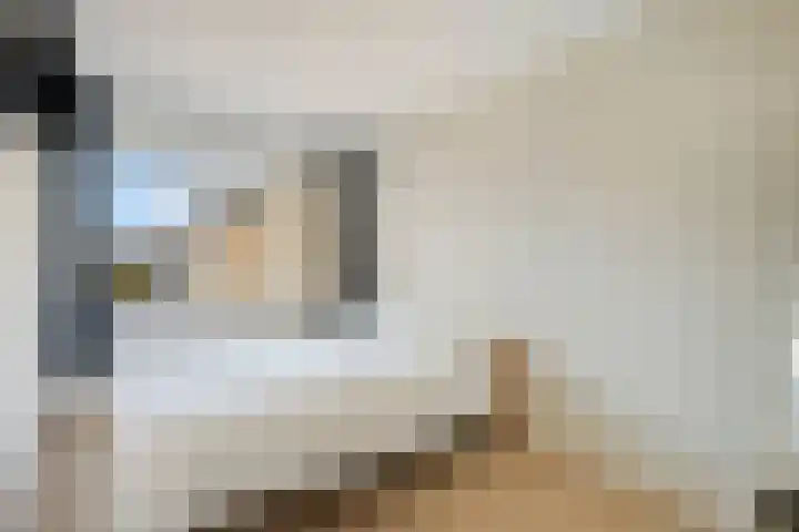 Wipmolen 18 Harmelen thumbnail 17