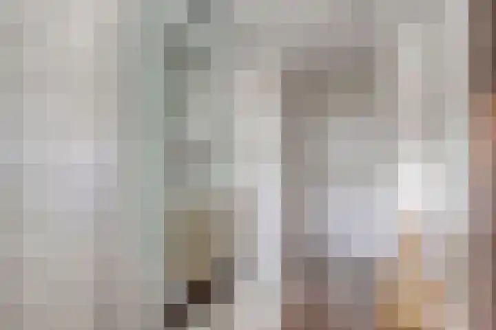 Wipmolen 18 Harmelen thumbnail 20