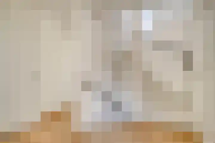 Wipmolen 18 Harmelen thumbnail 21