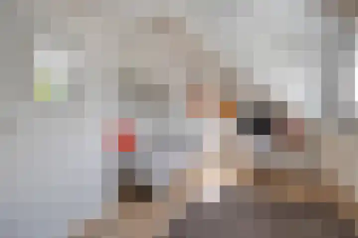 Wipmolen 18 Harmelen thumbnail 22