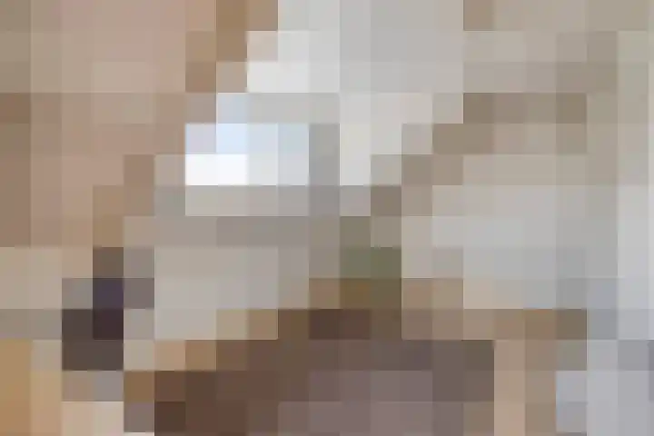 Wipmolen 18 Harmelen thumbnail 23