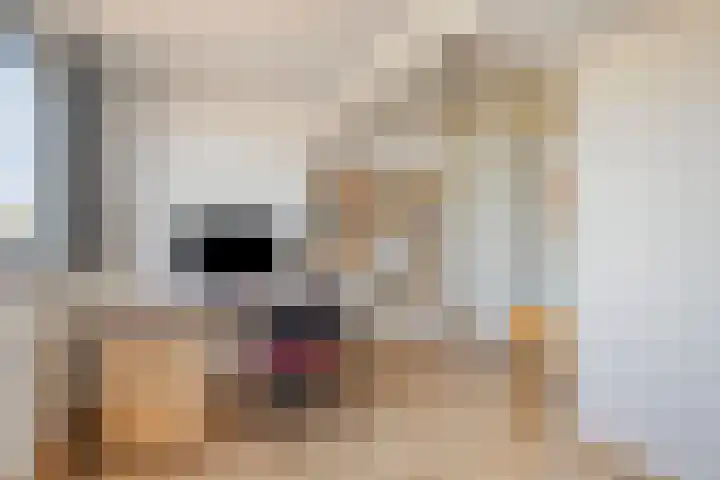 Wipmolen 18 Harmelen thumbnail 24