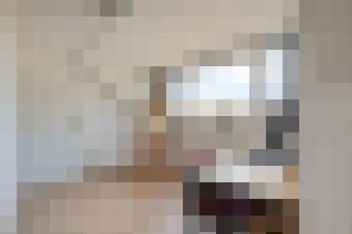 Wipmolen 18 Harmelen thumbnail 25