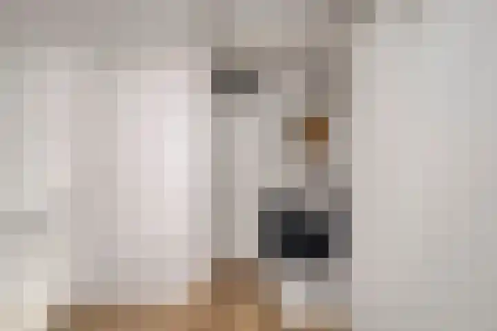 Wipmolen 18 Harmelen thumbnail 26
