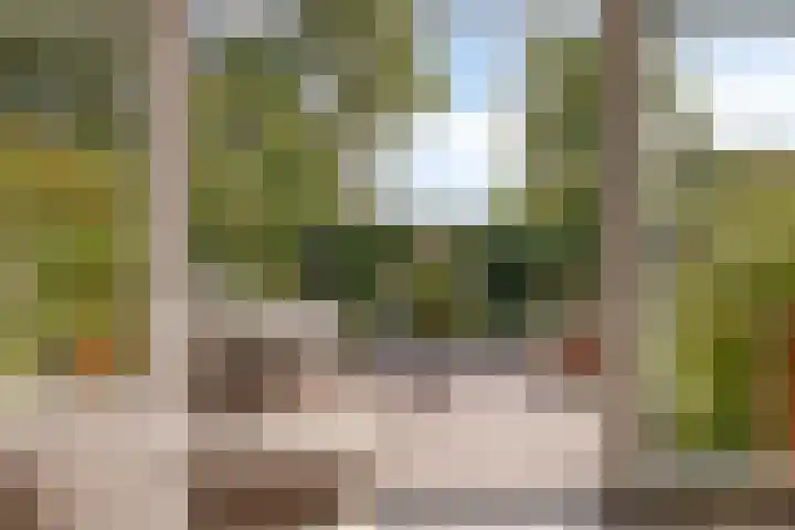 Wipmolen 18 Harmelen thumbnail 28