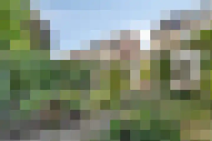 Wipmolen 18 Harmelen thumbnail 29