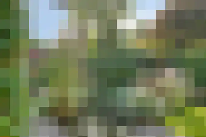 Wipmolen 18 Harmelen thumbnail 30