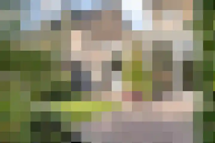 Wipmolen 18 Harmelen thumbnail 31