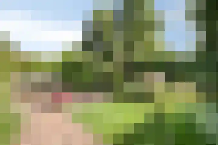 Wipmolen 18 Harmelen thumbnail 32