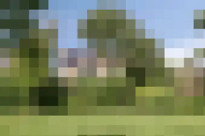 Wipmolen 18 Harmelen thumbnail 33