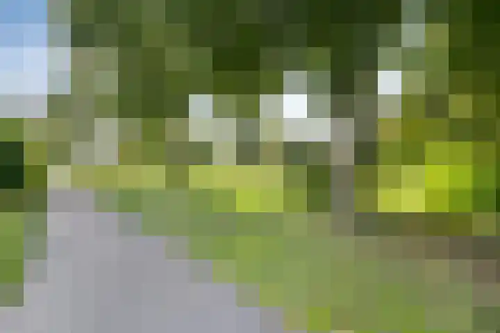 Wipmolen 18 Harmelen thumbnail 36