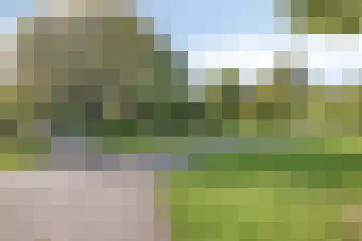 Wipmolen 18 Harmelen thumbnail 37