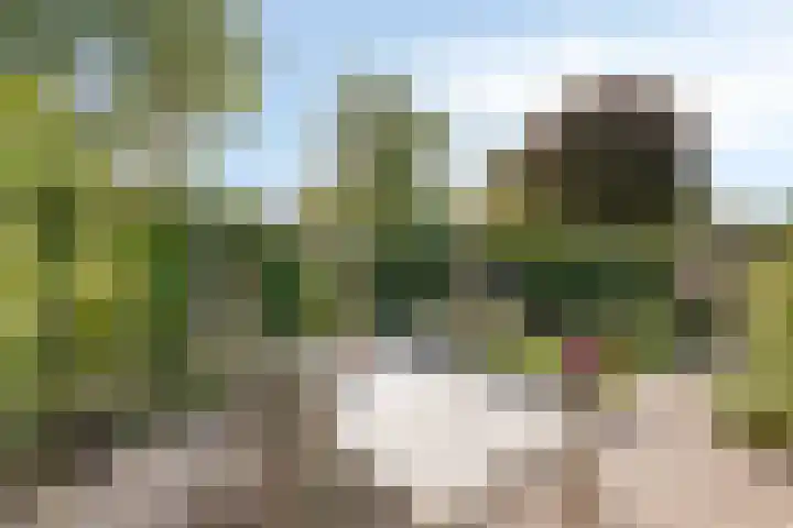 Wipmolen 18 Harmelen thumbnail 4