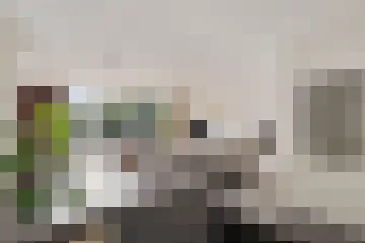 Wipmolen 18 Harmelen thumbnail 5