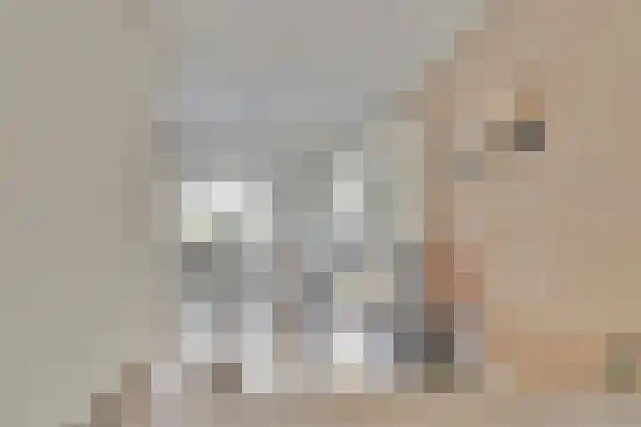 Wipmolen 18 Harmelen thumbnail 9