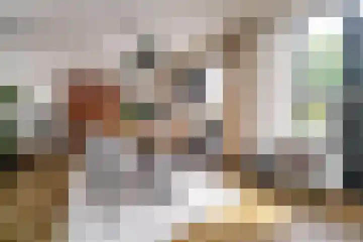 Wipmolen 18 Papendrecht thumbnail 10
