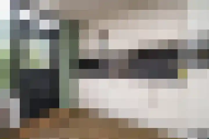 Wipmolen 18 Papendrecht thumbnail 11