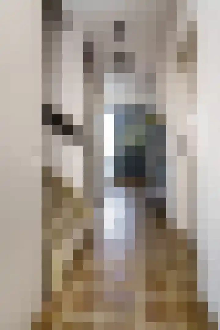 Wipmolen 18 Papendrecht thumbnail 12