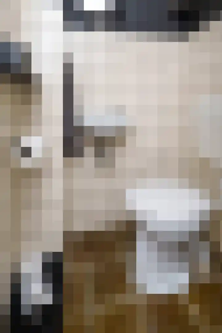 Wipmolen 18 Papendrecht thumbnail 13